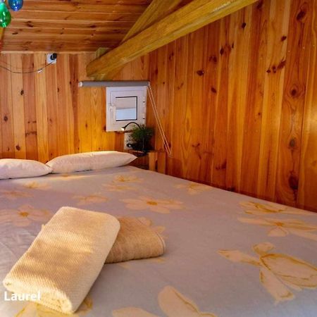 La Casa Del Druida Apartman Málaga Kültér fotó